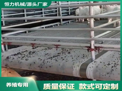 恒力羊糞輸送機提養殖效率節省人工成本